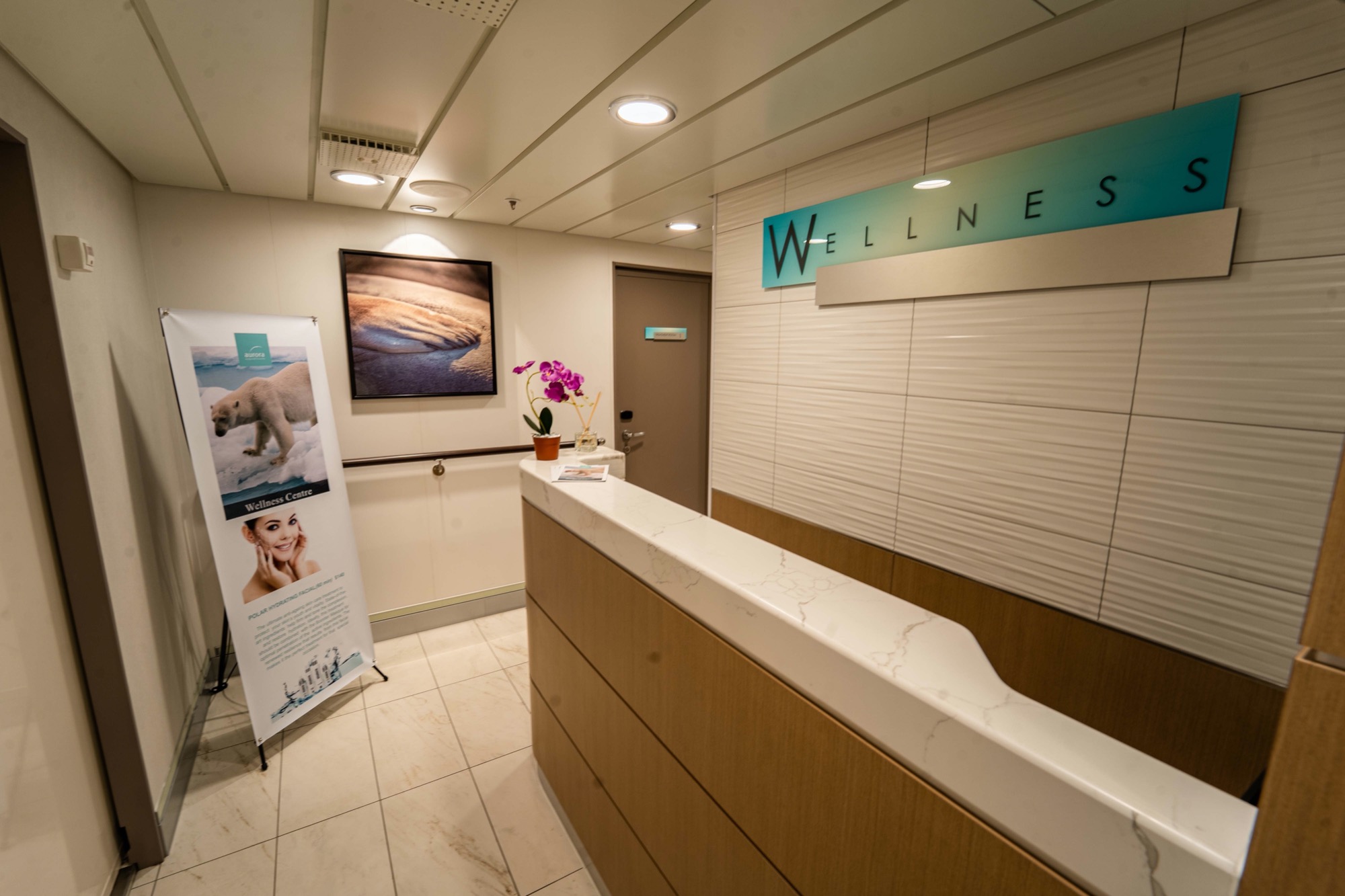 Aurora Expeditions Greg Mortimer Wellness Centre.jpg